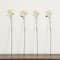 24in. Artificial Pincushion Protea Flower Stem - Set of 4